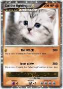 Cat the fightin