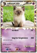 cuittesset kitt