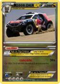 2008 DKR