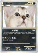 Kitten
