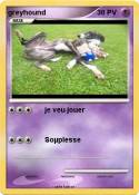greyhound