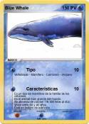 Blue Whale
