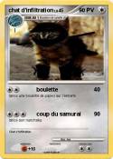 chat d'infiltra