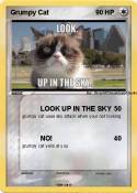 Grumpy Cat