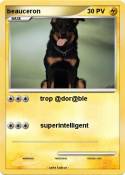 beauceron