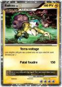 Raikou