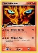 Chat de Flammes