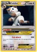 Catchu
