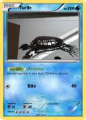 Turtle