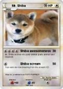 Mr. Shiba