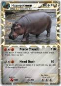 Hippopotamus