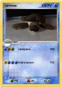 tortosse 2