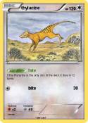 thylacine