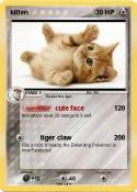 kitten