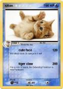 kitten