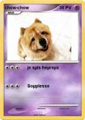 chow-chow