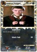 seamus finnigan