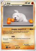 dog