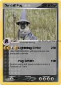 Gandalf Pug