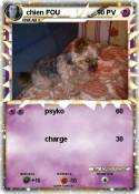 chien FOU