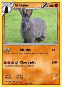 fat bunny