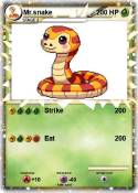 Mr.snake
