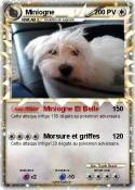 Miniogne