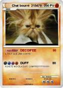 Chat bourré 215