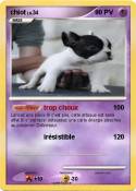 chiot
