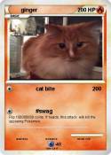 ginger