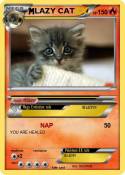 LAZY CAT