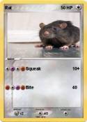 Rat