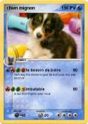 chien mignon