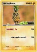 pine apple owl