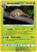 Mouse lemur