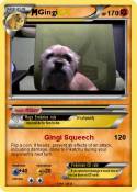 Gingi