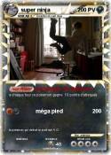 super ninja