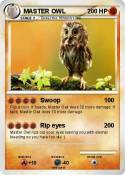 MASTER OWL
