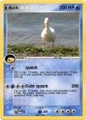 a duck