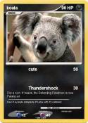 koala