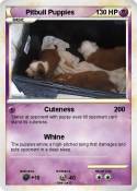 Pitbull Puppies