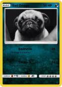 Sad Doggo