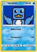TEH DUCK