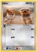 chiens