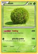 bush
