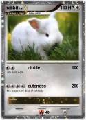 rabbit