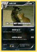 cute cat