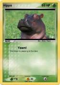 Hippo