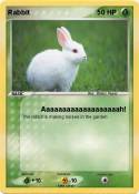 Rabbit