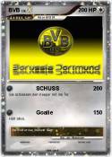 BVB